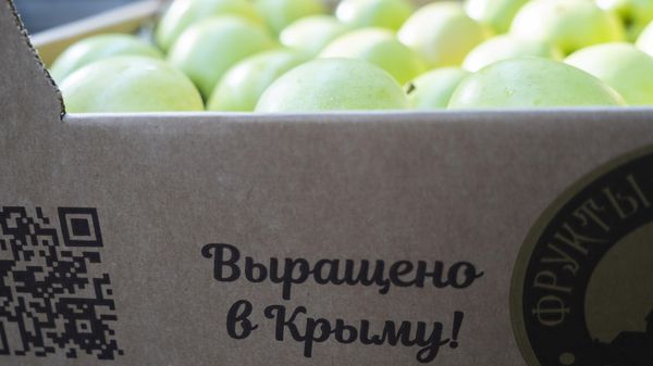 Сбор яблок