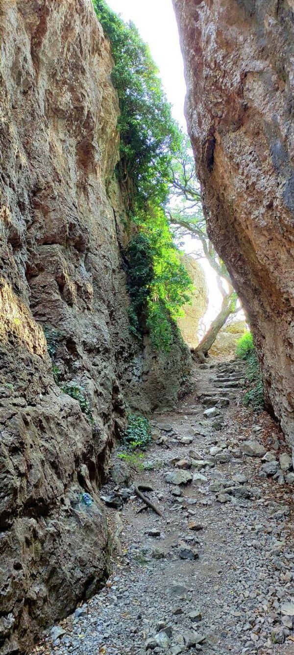 В Крыму фотограф Лев Архипов проводит бесплатные экскурсии для ветеранов СВО в Новом Свете