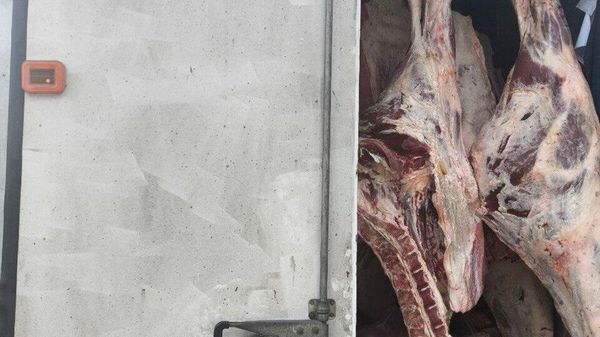 В Крым везли более 450 кг небезопасной мясной продукции
