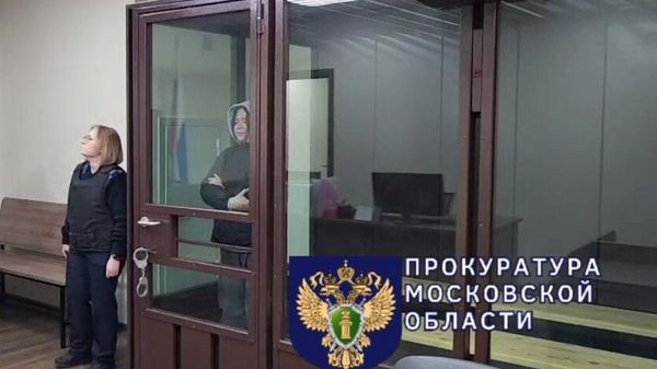 В Балашихе суд на два месяца арестовал 31-летнюю мать по обвинению в убийстве сына