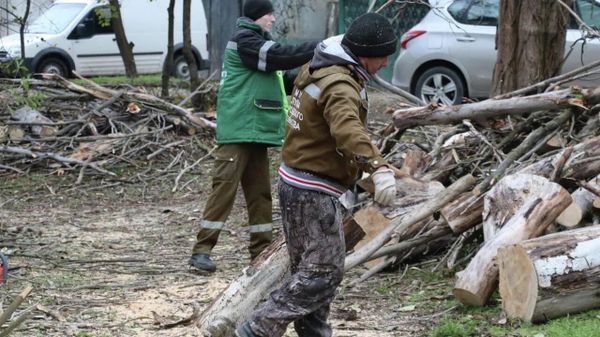 В Керчи штормовой ветер повалил деревья и оборвал провода