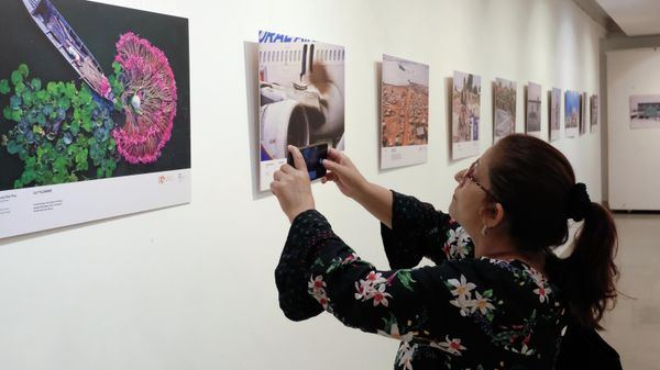 Посетительница на открытии выставки Международного конкурса фотожурналистики имени Андрея Стенина в Нью-Дели.