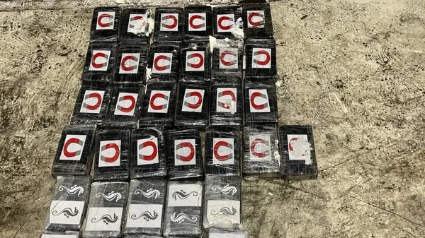 Российские таможенники задержали контрабанду 40 килограммов кокаина из Латинской Америки в РФ