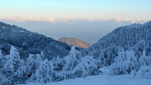 Заповедники Крыма