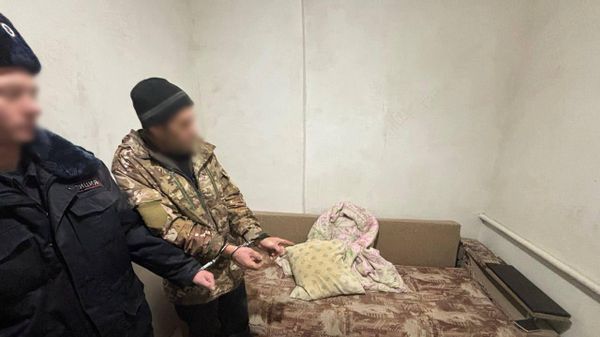 Житель Кировского района заключен под стражу по обвинению в причинении смерти своей матери 