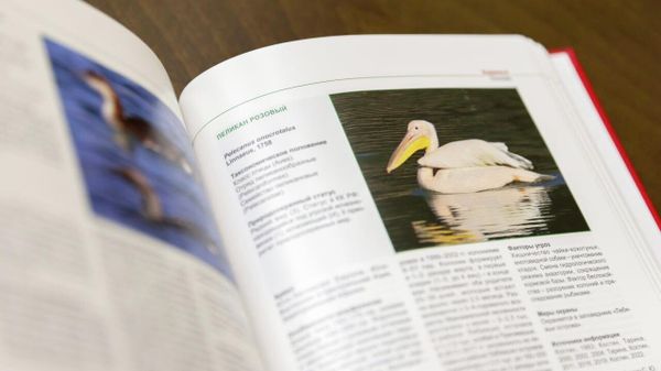 Красная книга Крыма Красная книга Крыма