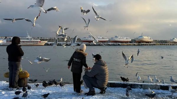 Ялта в снегу