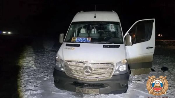 Водитель микроавтобуса погиб в Ростовской области