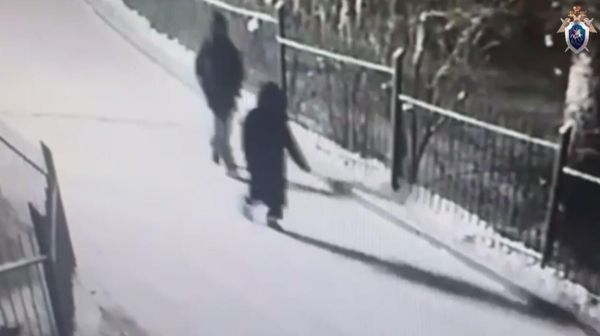 В Красноярске возбуждено уголовное дело о похищении ребенка