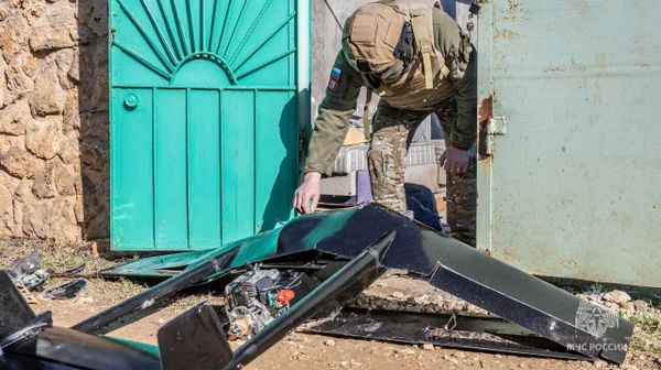Вражеский беспилотник, упавший в садоводческом товариществе, обезвредили в Севастополе