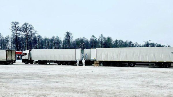 Россия и Украина обменялись телами погибших военных