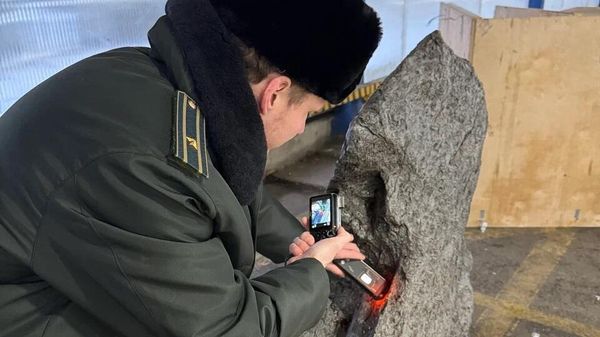 Таможенники не дали незаконно вывезти в Великобританию фрагмент метеорита весом более 2,5 тонны