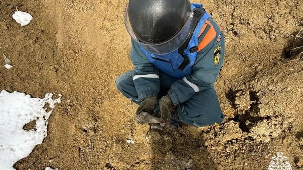 Минометную мину и артиллерийский снаряд обезвредили под Керчью