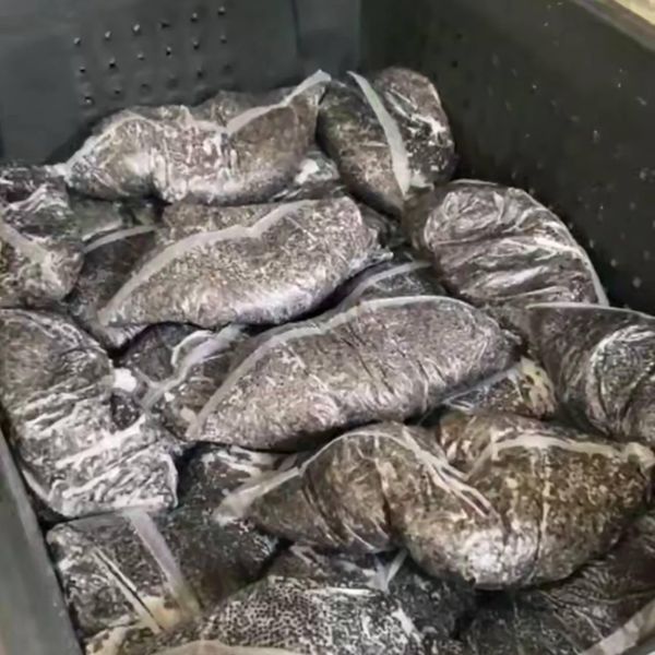 В Краснодарском крае изъята крупная партия икры осетровых рыб без документов и маркировки