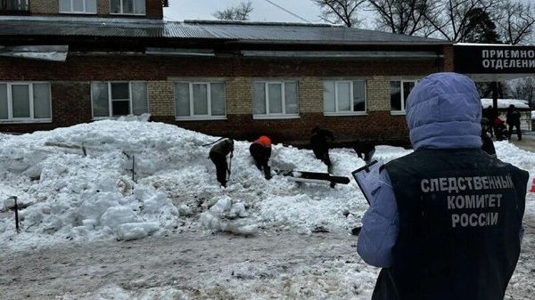 Мужчина погиб при обрушении козырька больницы в Тамбовской области