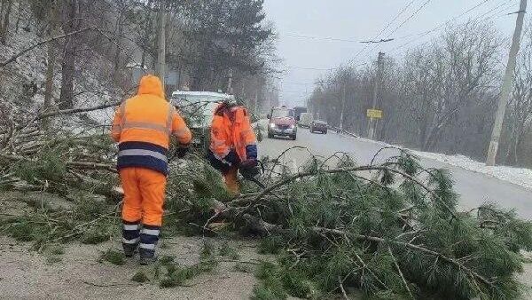 Расчистка дорог в Крыму от поваленных ветром деревьев