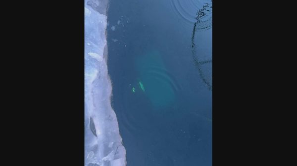 Кадры с места, где машина ушла под лед Байкала