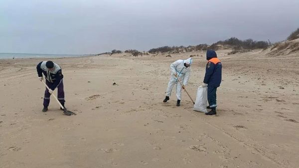 На Кубани шторм вынес на побережье мазут – идет уборка 
