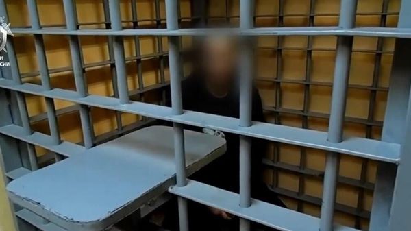 Пятеро взрослых и трое подростков готовили теракт в Коломне
