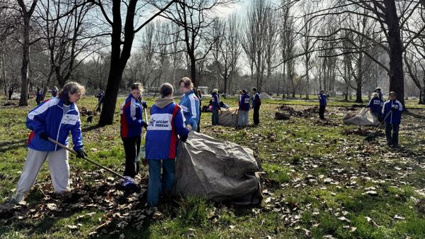 В Крыму полсотни бойцов студотрядов благоустроили парк Гагарина