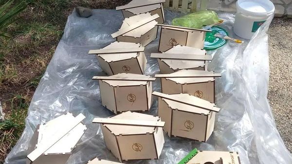 В Ялте появится более 30 современных домиков для птиц