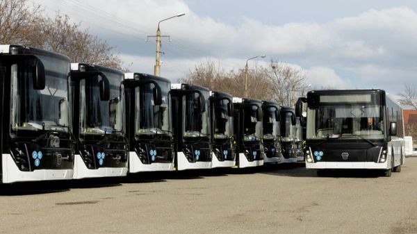 Автобусы