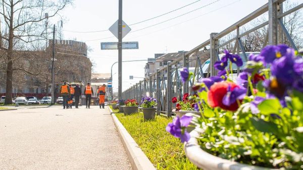 Симферополь украсили 700 цветочных кашпо