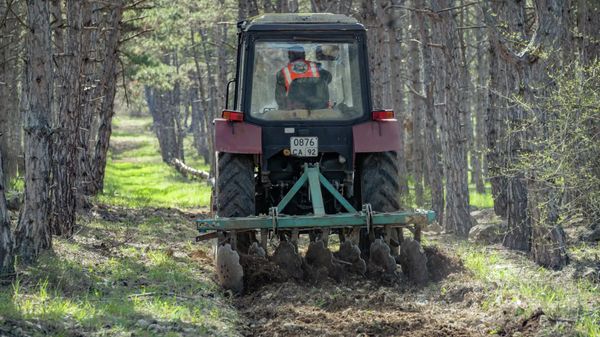 В Севастополе копают километры минерализованных полос