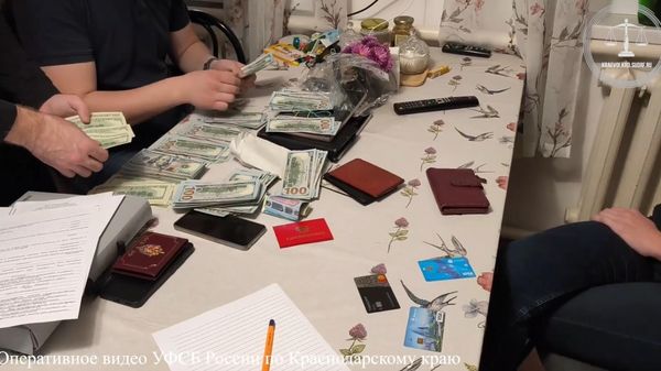 Жительница Краснодара получила 13 лет за перевод 100 тысяч рублей на нужды ВСУ