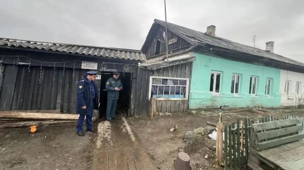 Четверо детей и мать погибли на пожаре в Свердловской области