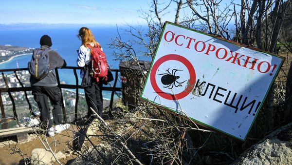 Знак Осторожно! Клещи! на горе Аю-Даг (Медведь-гора) в Крыму