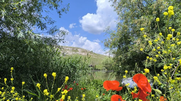 Лето в Крыму