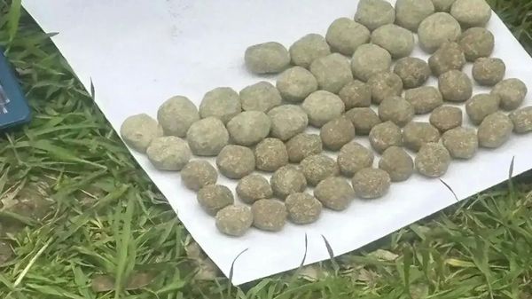 Полицейскими Керчи предъявлено обвинение семейной паре за распространение крупной партии наркотиков