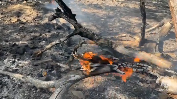 Пожар в заповеднике Крымский