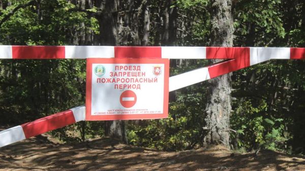 В Крыму введено ограничение на посещение лесов 