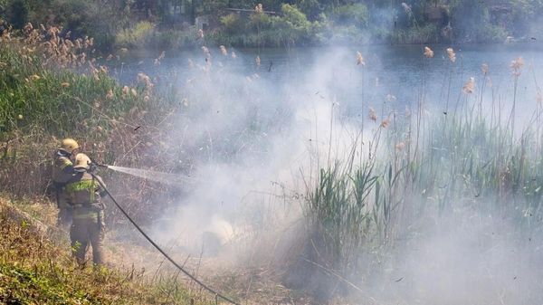 Спасатели ликвидируют лесной пожар в Новофедоровке
