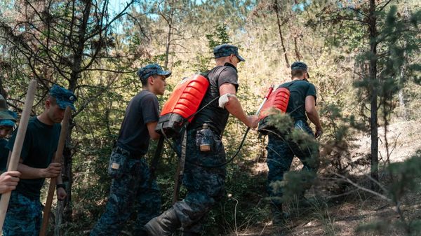 Лесной пожар под Севастополем удалось локализовать