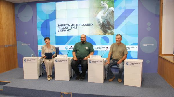  Пресс-конференция Защита исчезающих видов птиц в Крыму.