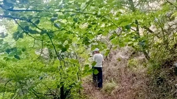 Заблудившуюся туристку спасатели вывели с Большой севастопольской тропы Заблудившуюся туристку спасатели вывели с Большой севастопольской тропы