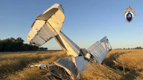 Самолет упал в Самарской области при орошении полей