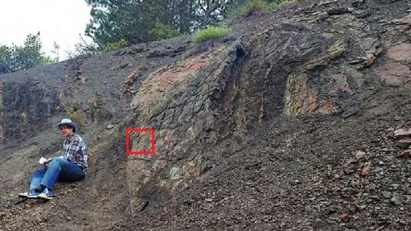 В Крыму нашли раковину моллюска возрастом 180 миллионов лет