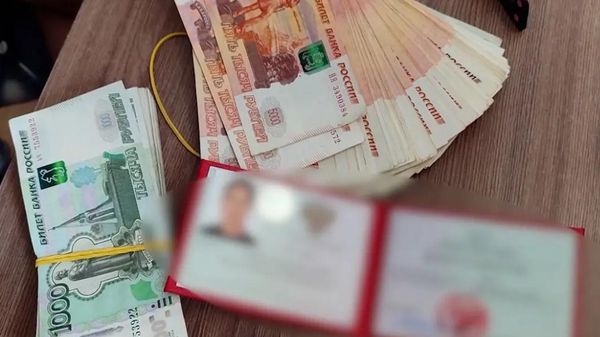 Взятка на 1,6 млн: адвокат пыталась кинуть клиентку из Севастополя 