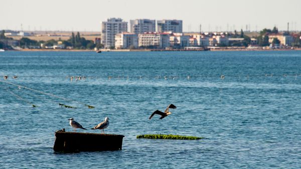 Феодосия. Карантинная бухта