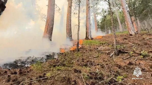 Лесной пожар в горах над Ялтой