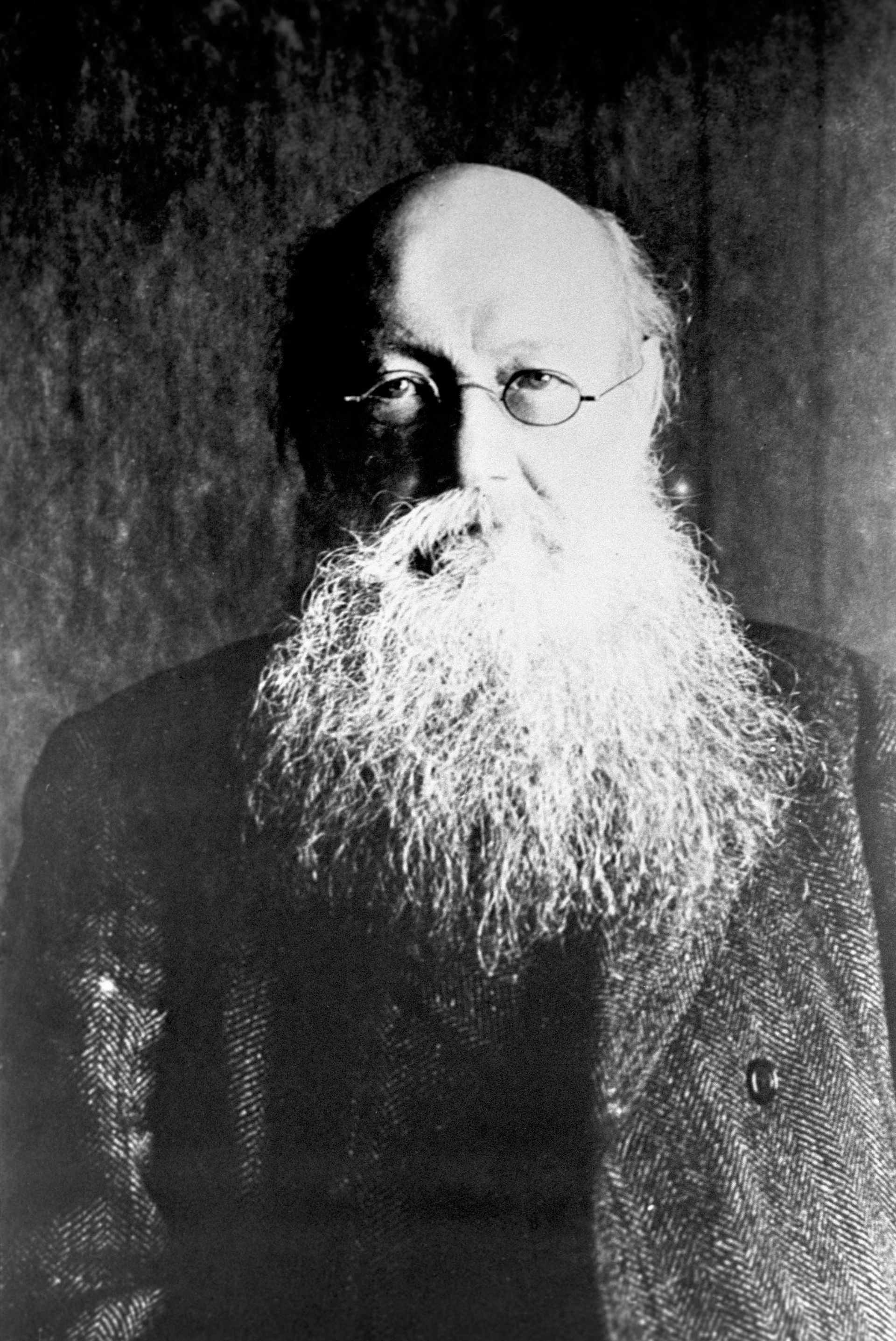 Князь Пётр Алексеевич Кропоткин (1842-1921), историк, философ и публицист, создатель идеологии анархо-коммунизма и один из самых влиятельных теоретиков анархизма. 1917 год. - РИА Новости, 1920, 26.08.2026