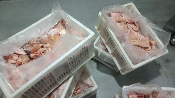 В Севастополе обнаружили более 1700 кг мяса неизвестного происхождения