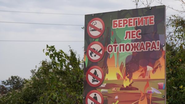 Берегите лес от пожара