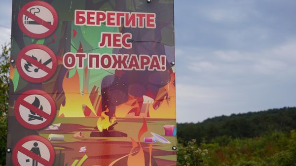Берегите лес от пожара