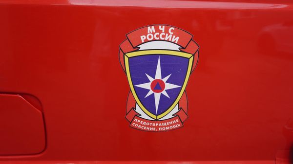 Герб МЧС