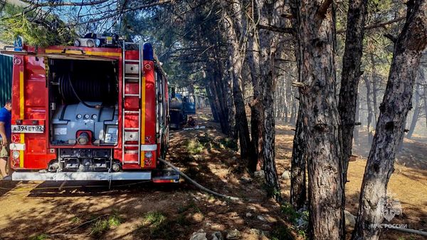 Пожар вблизи садоводческого товарищества Импульс ликвидировали в Севастополе